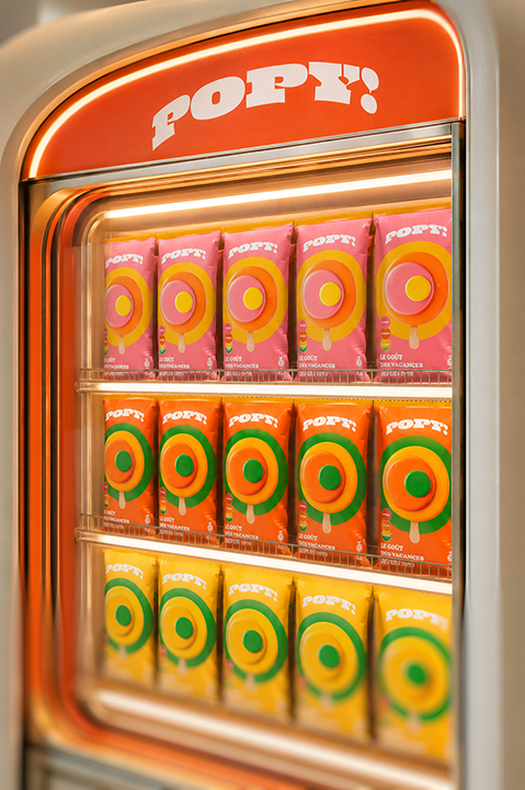 ice cream project